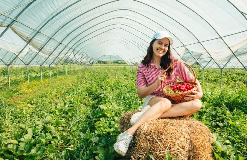 Choose Vegetables That Thrive in Your Climate