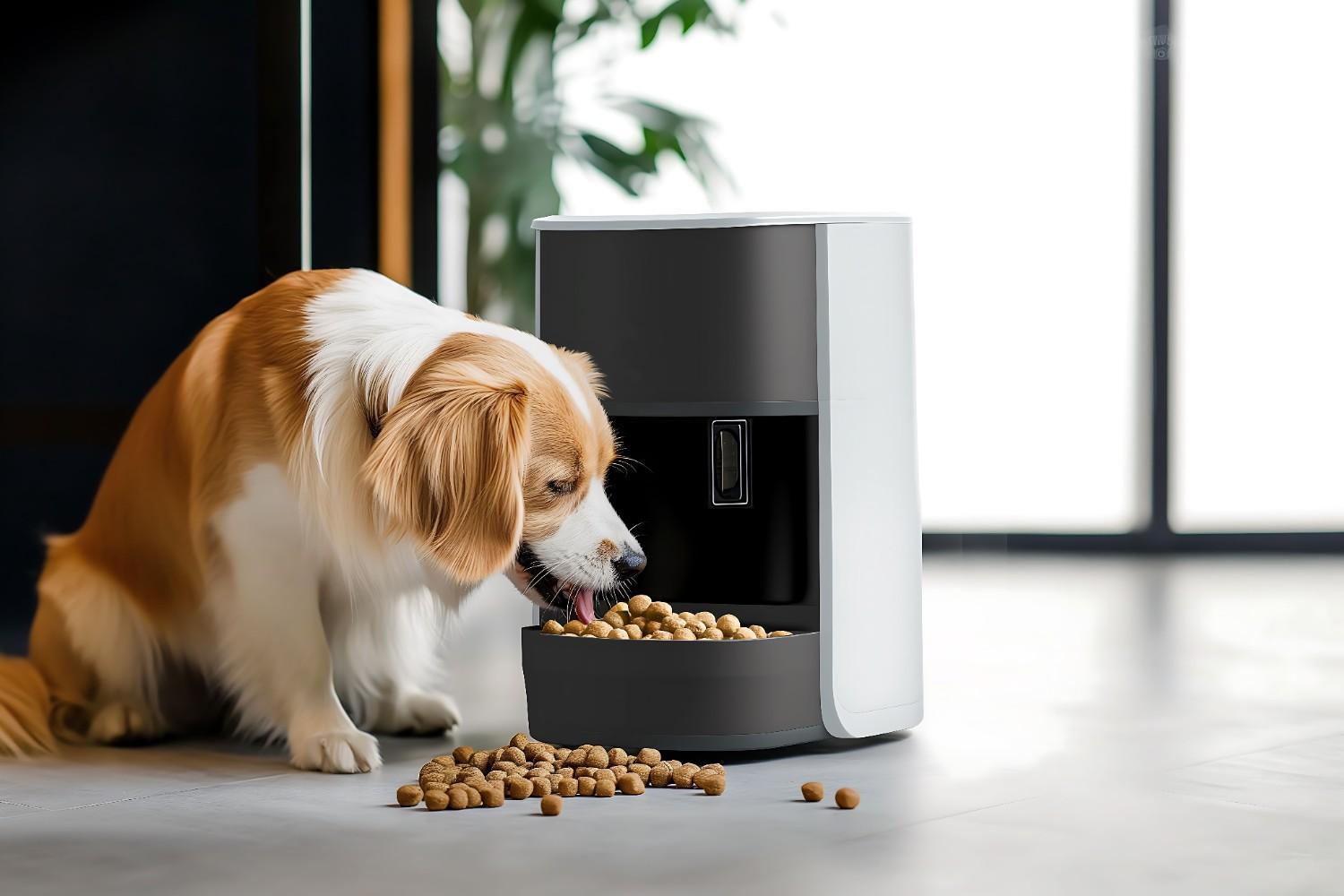 Comparing Key Petco Black Friday Deals at a Glance