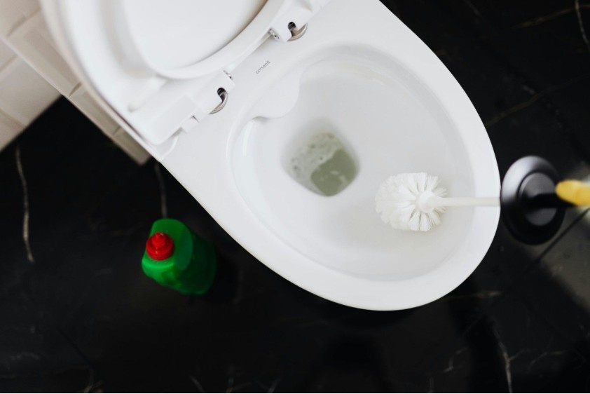 Homemade Toilet Cleaners That Balance Cost, Safety, and Performance