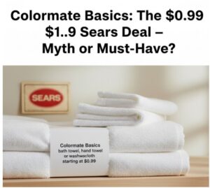 colormate basics bath towel hand towel or washcloth starting at 0 99