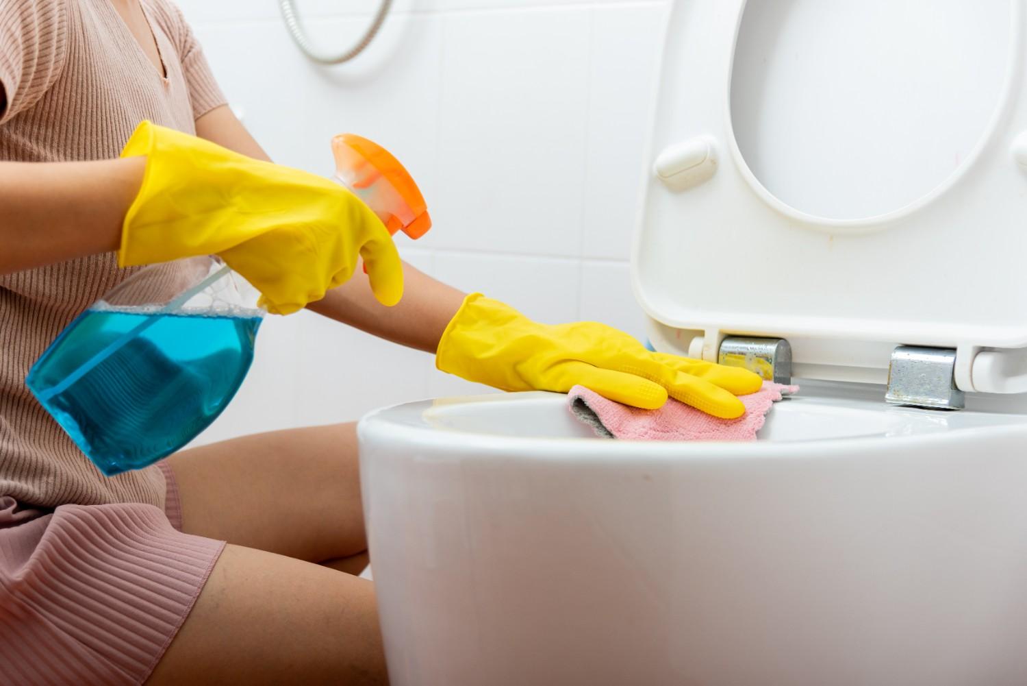 The Science Behind DIY Toilet Cleaners