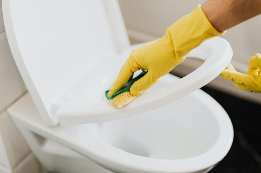 Why DIY Toilet Cleaner Works (and When It Doesn’t)