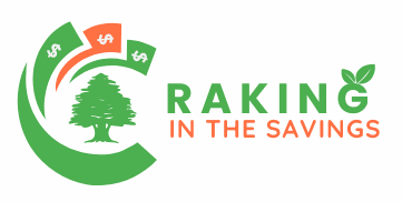 rakinginthesavings.com