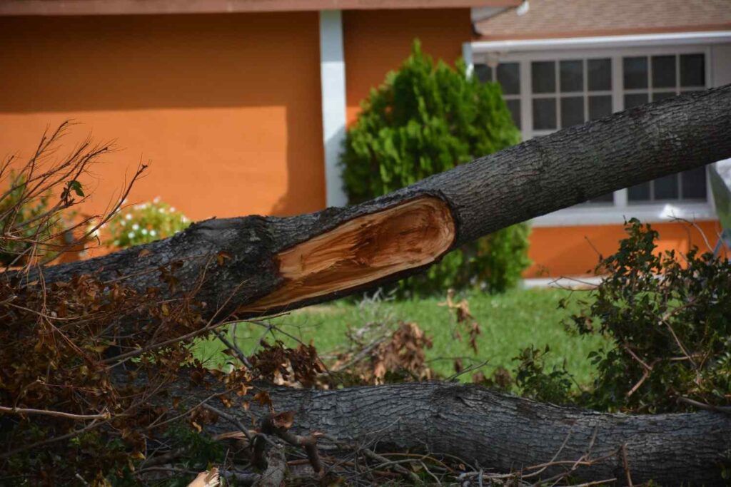 step-by-step guide on what to do when nature strikes