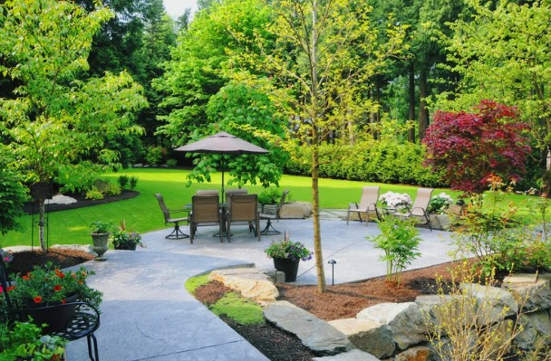 Reclaim Your Weekend: The Ultimate Guide to Low-Maintenance Landscaping