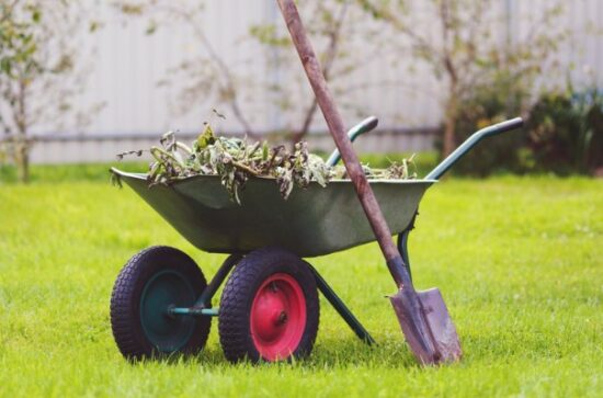 Hardscaping The Backbone of Low-Maintenance Design
