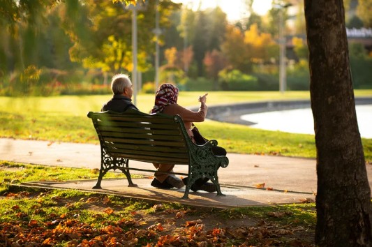 The Power of Parks: Why Investing in Public Spaces Benefits Us All