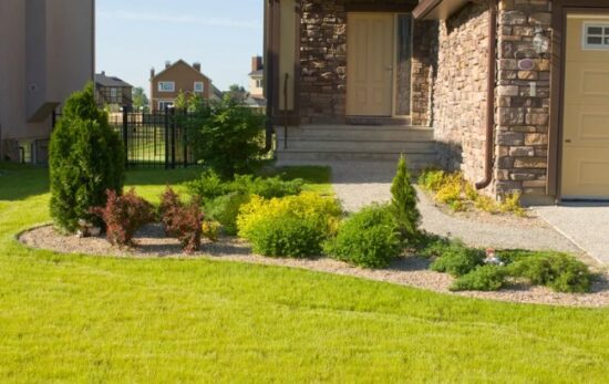 The Wildflower Meadow