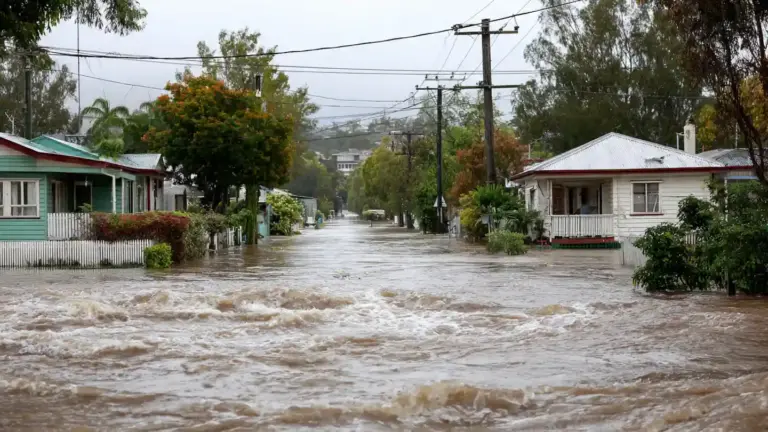 Structural Safety Checks: Your Post-Flood Guide