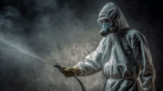 How to Get Rid of Mold Mildew My Simple Routine That Actually Works