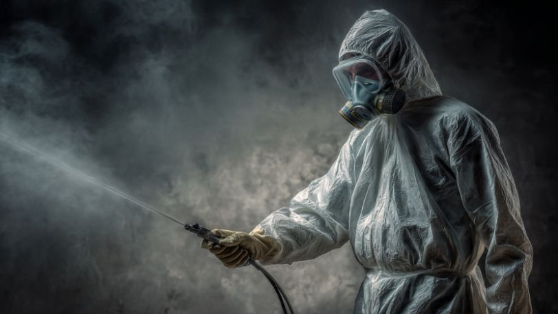 How to Get Rid of Mold Mildew My Simple Routine That Actually Works