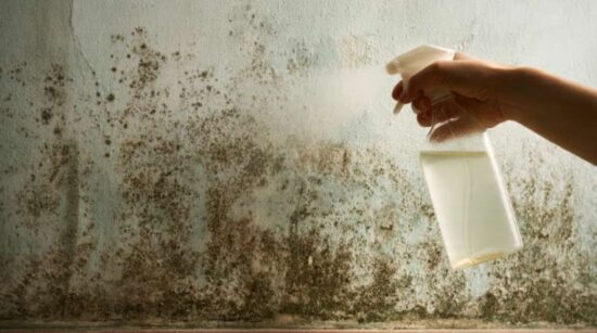 Natural Ways to Remove Mold and Mildew
