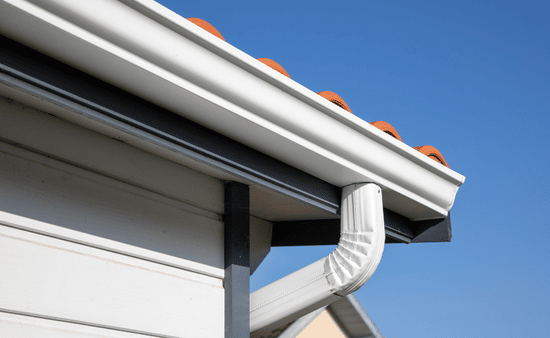 Roof and Gutter Protection