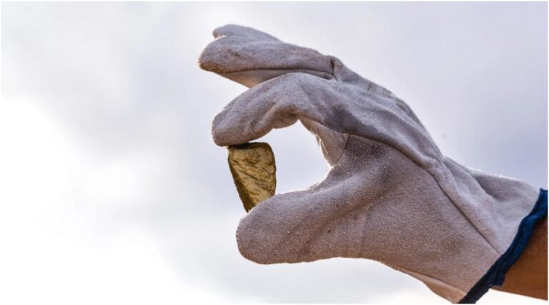 The Core Tools and Techniques Every Gold Miner Should Know