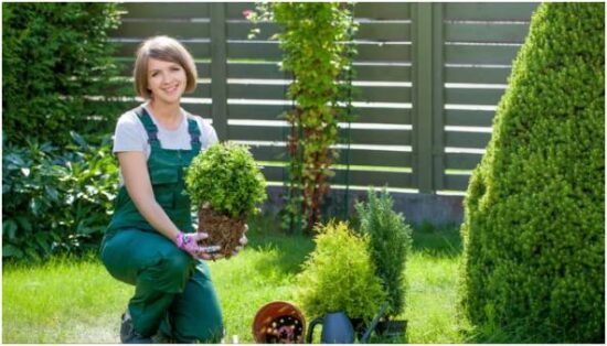 Selecting the Right Plants and Seeds