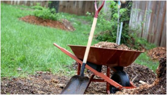 The Role of Mulch and Ground Cover
