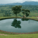 The Benefits of Having a Reliable Water Supply on Your Property