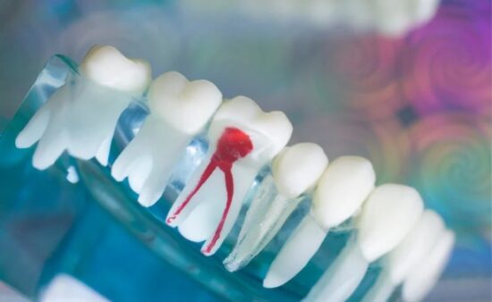 The Biological Foundation of a Cavity